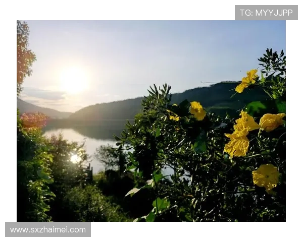 《房车奇遇:驶向未知,点燃生活的无限可能》